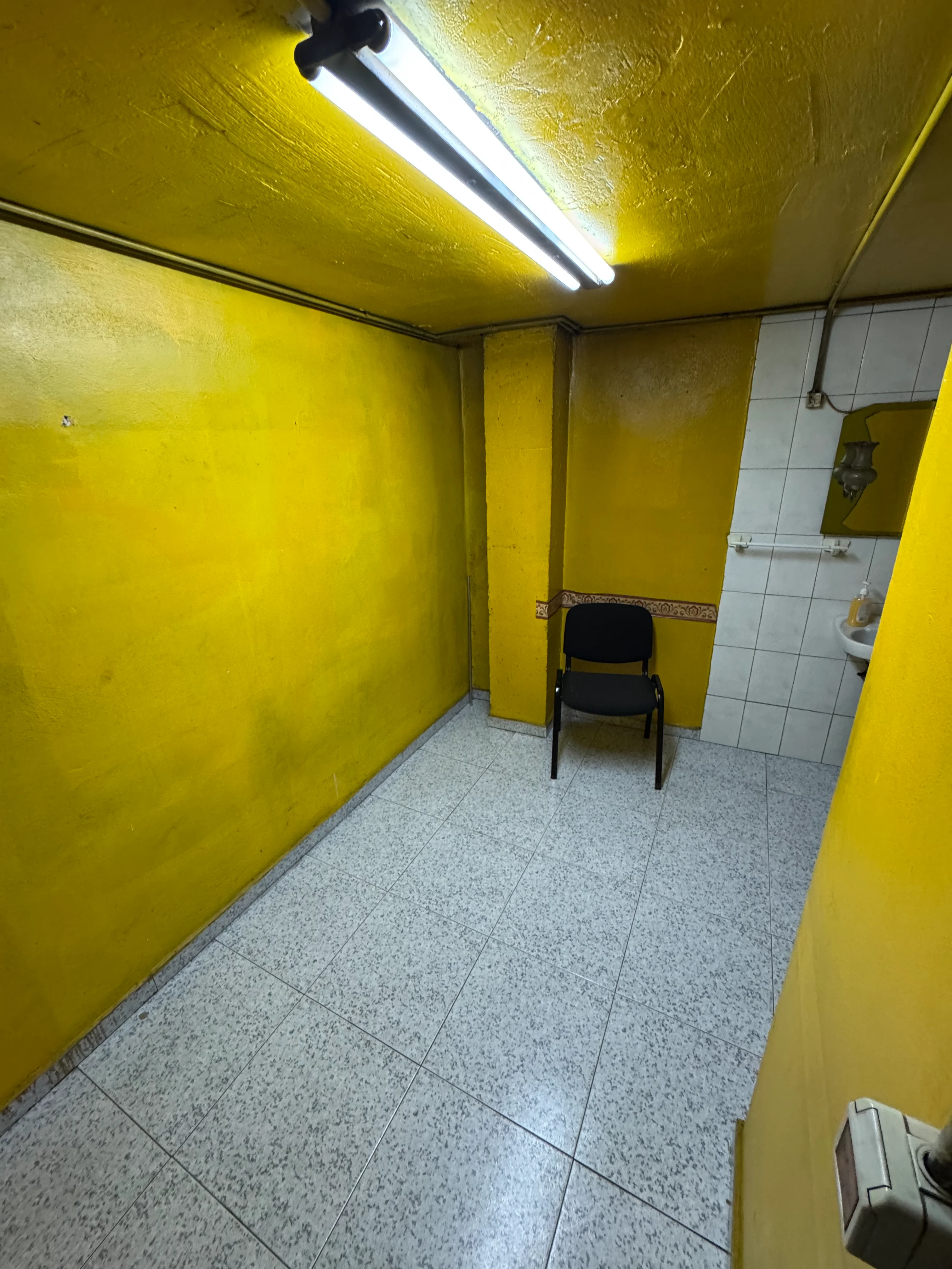 Miniatura 12