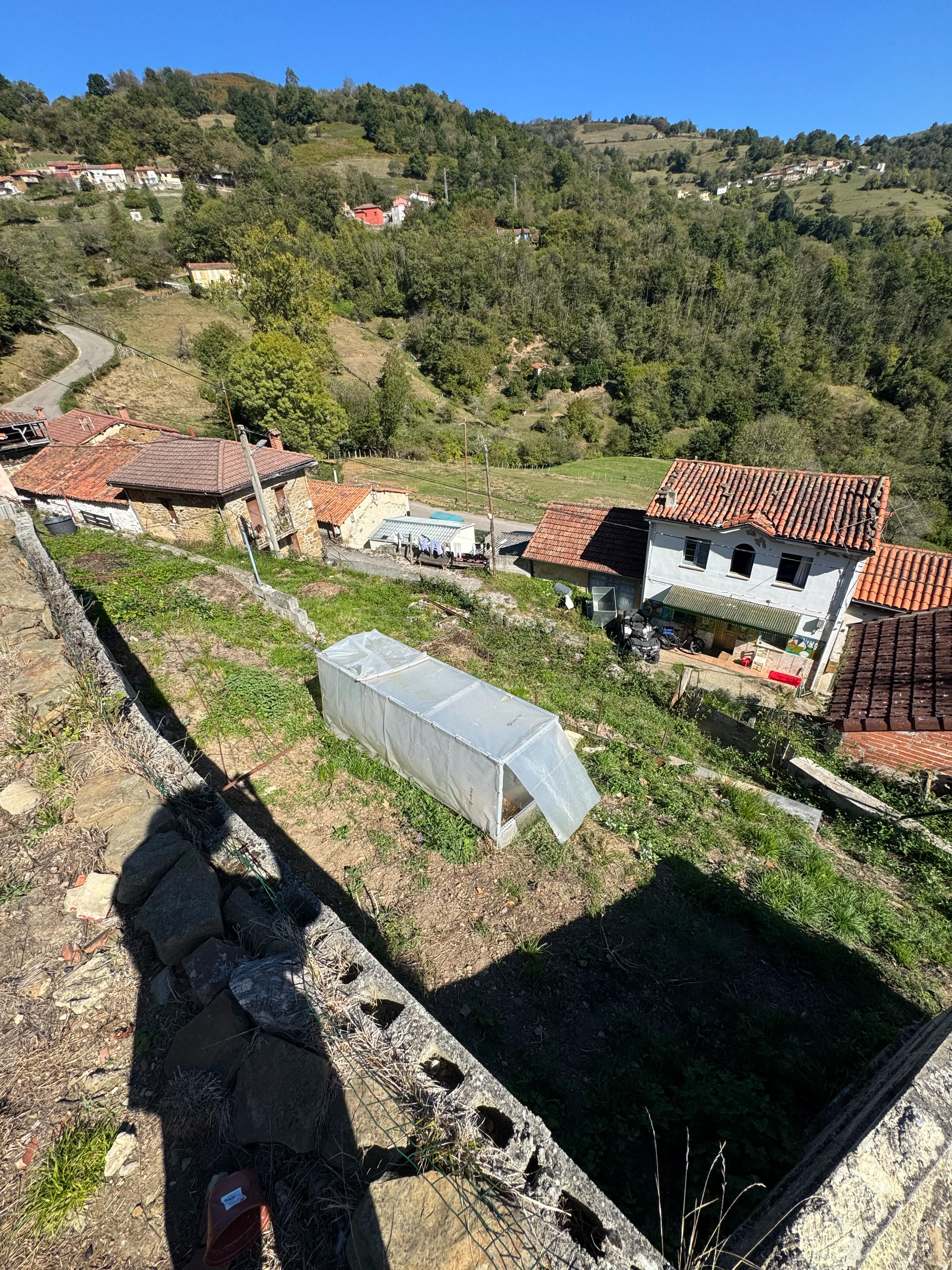 Miniatura 12